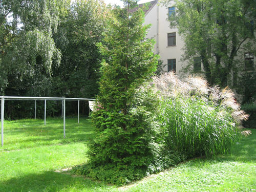 Einzug ab 15.12.2026 möglich. Freizeit genießen im Clara-Zetkin-Park! - Foto 3