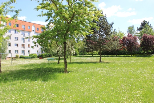 Ausblicke genießen – Umzugspauschale kassieren! - Foto 4